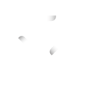 Triple E Design